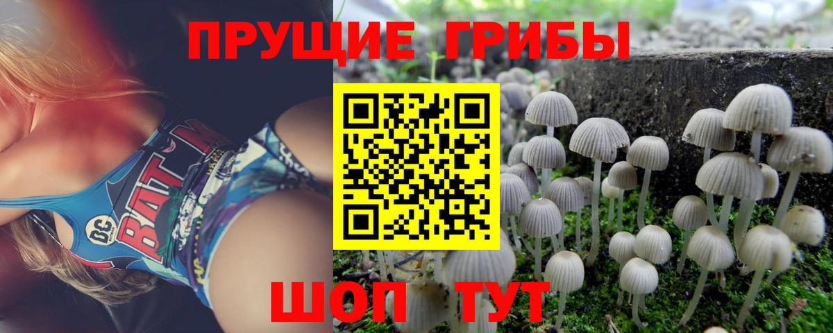 Галлюциногенные грибы Psilocybe  Вход с VPN  как найти закладки  Алатырь 